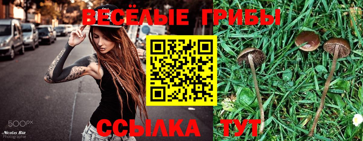 Псилоцибиновые грибы мухоморы  Вход с VPN  Родники 